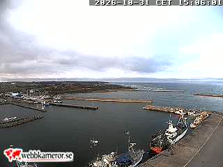Herrvik, fiskehamnen / gästhamnen