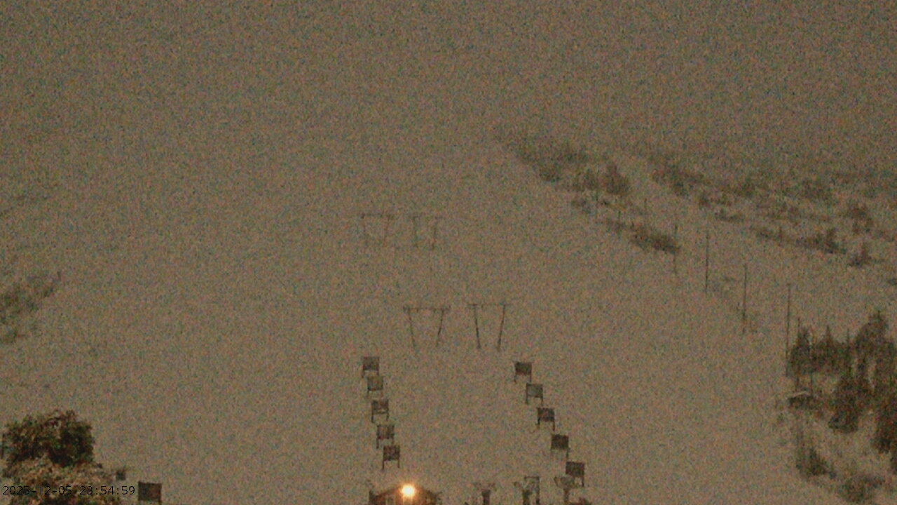 アザラシ、高山